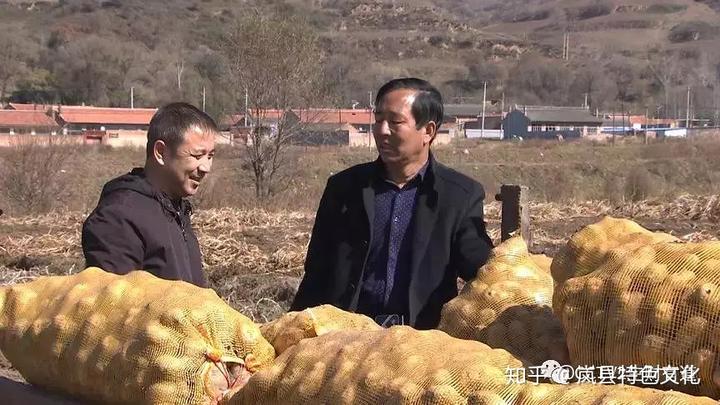 岚县又上央视了！咱们家乡有特产——山西岚县：土豆产业链 致富一大片