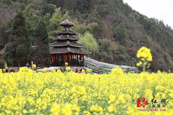 通道：以节为媒，创新产业发展新路径
