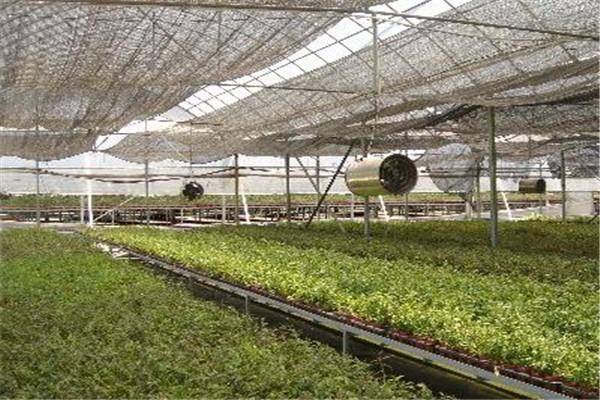 卉丰园铁皮石斛加盟费多少钱?小投资项目，万元开店无压力