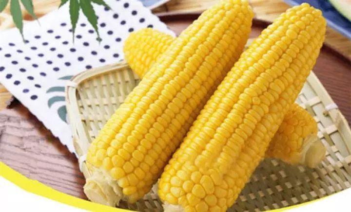 玉米种植大户致富_鲜玉米种植利润_种植鲜食玉米致富