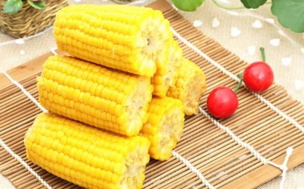 玉米种植大户致富_致富经玉米种植_种植鲜食玉米致富