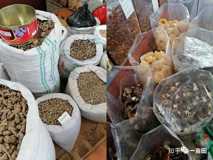 中药材致富经_致富经中药材_致富经中草药种植项目