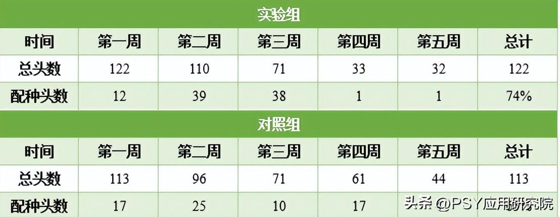 后备母猪养殖技术视频_后备母猪饲养管理视频_怎样养殖后备母猪