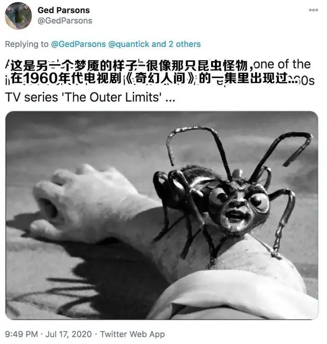 养殖虎头蜂的利润_致富经 养殖虎头蜂_致富经养虎头蜂视频