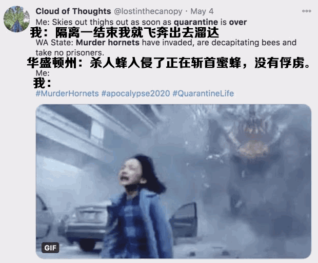 致富经养虎头蜂视频_养殖虎头蜂的利润_致富经 养殖虎头蜂