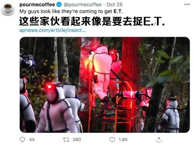 致富经养虎头蜂视频_致富经 养殖虎头蜂_养殖虎头蜂的利润