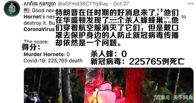 致富经 养殖虎头蜂_养殖虎头蜂的利润_致富经养虎头蜂视频