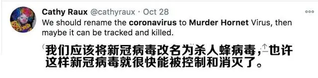 致富经 养殖虎头蜂_致富经养虎头蜂视频_养殖虎头蜂的利润