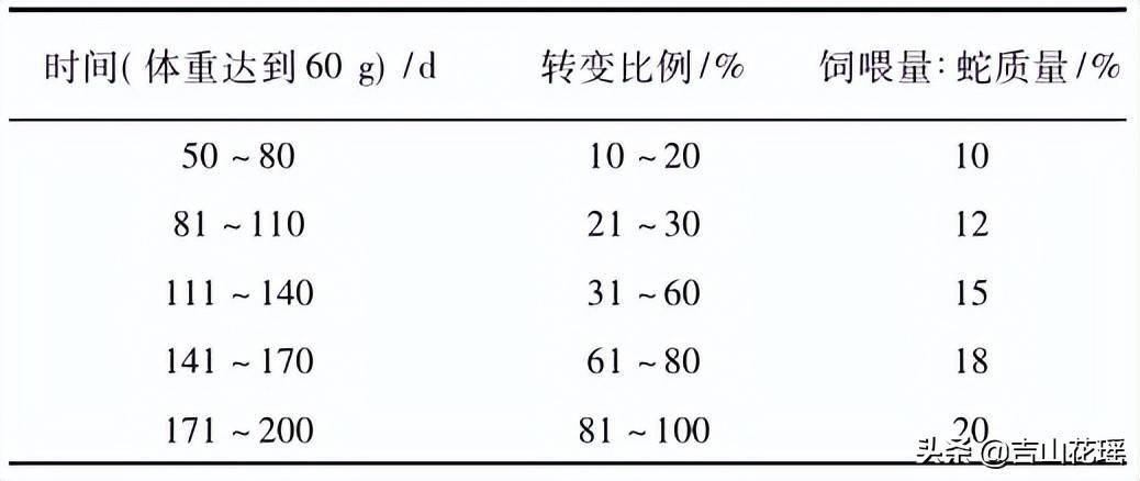 养殖鸡的技术方案_傻半斤的养殖技术_稻田养殖小龙虾技术