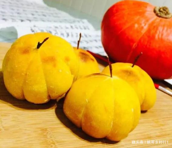 南瓜种植与管理技术_长南瓜种植技术与管理_南瓜种植管理技术和方法视频