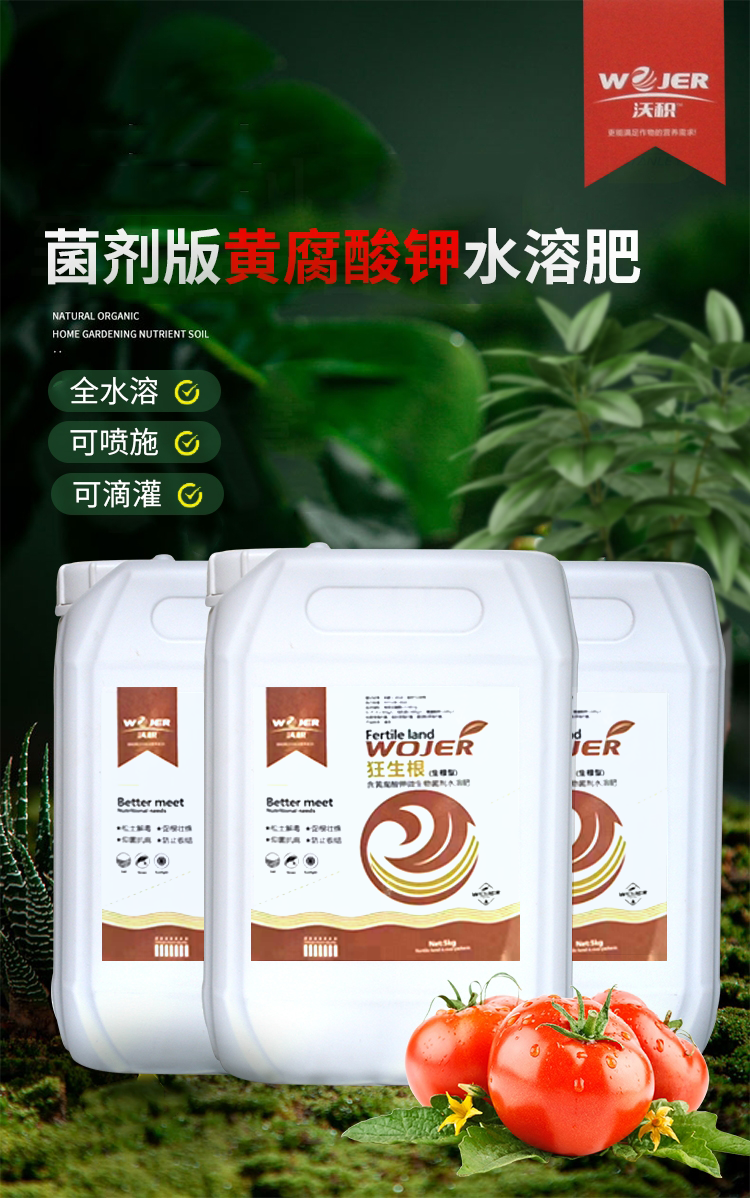 辣椒周年种植技术_辣椒种植周期多久_辣椒周年种植技术视频