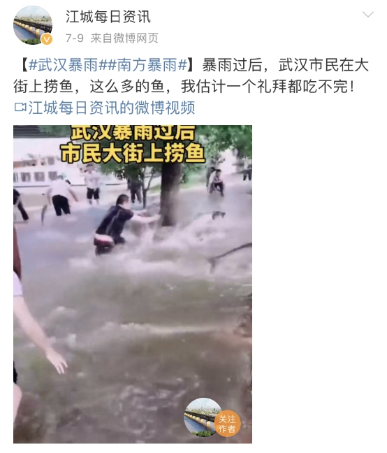 网箱养黄骨鱼的成本与利润_黄骨鱼网箱养殖技术_黄骨鱼鱼缸养殖