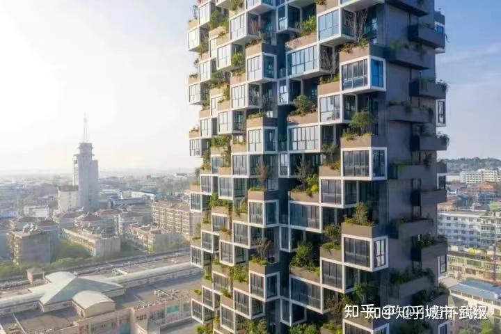 湖北农村种什么树价值高_湖北地区一般种植什么树比较好_湖北种植致富树