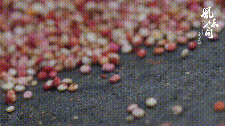 红藜麦种植技术_红藜种植技术_红藜是什么