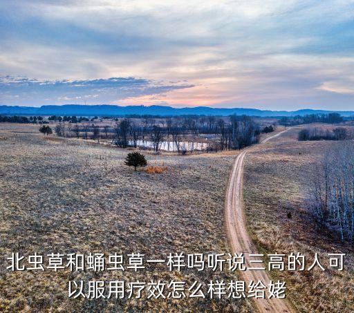 北虫草和蛹虫草一样吗听说三高的人可以服用疗效怎么样想给姥