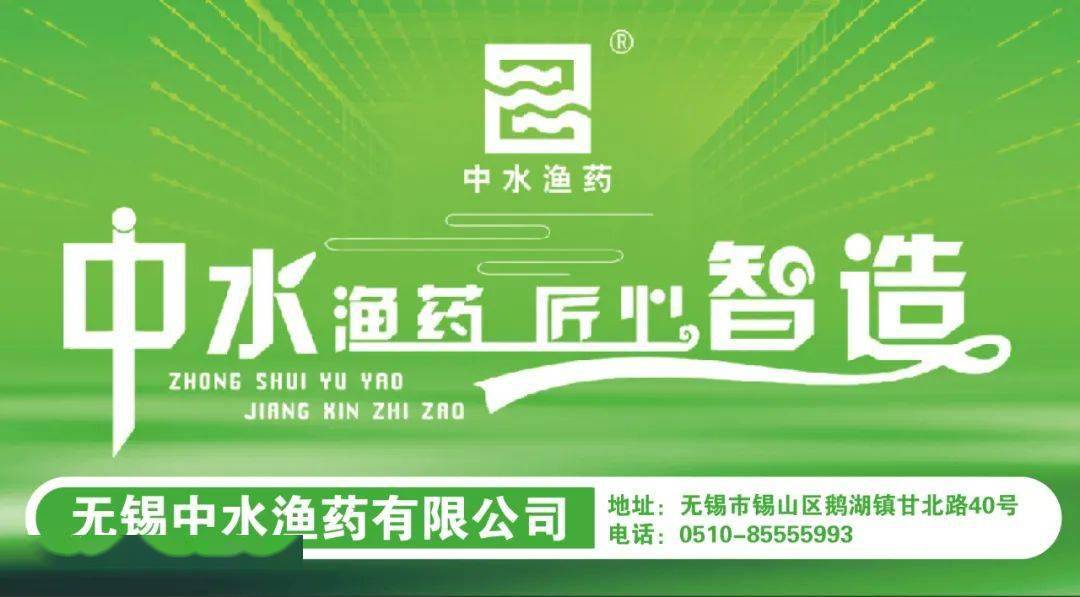 鳊鱼养殖技术_鳊鱼养殖技术百度百科_鳡鱼养殖技术