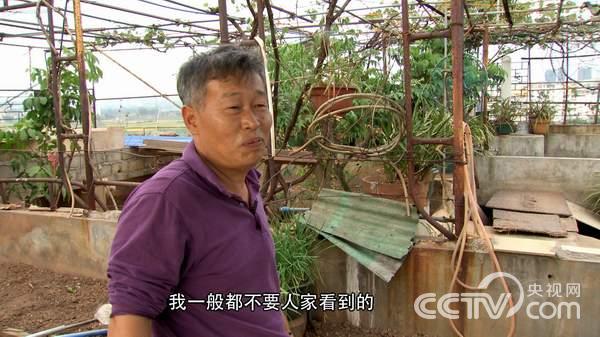 [致富经]靠“臭龟”改变命运的下岗工人(20150203)