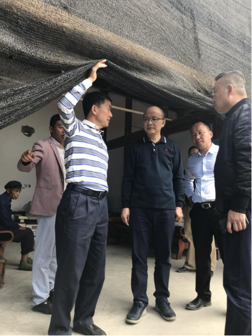 广西养殖猪_致富经广西散养猪_广西养猪大户