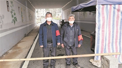 群雁高飞头雁领 书记带咱向前走