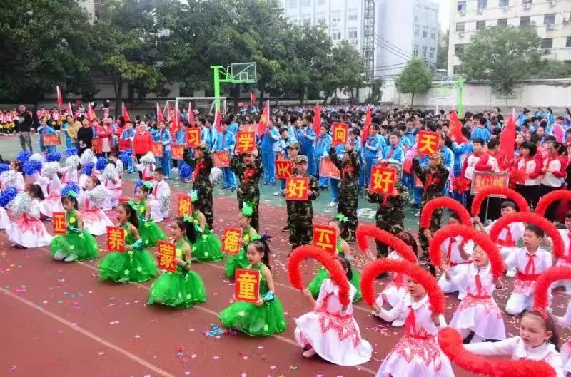 典型案例经验总结_优质服务典型经验案例分享_典型案例经验材料