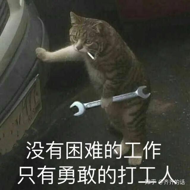 广元哪些地方有校鸡_cctv7致富經黑鸡养殖_致富经广元灰鸡图片