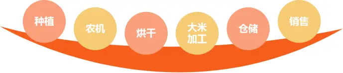 大米种植技术_大米种植技术落后问题_大米种植技术与管理