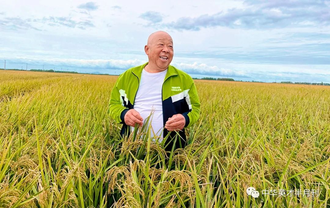 大米种植技术规程内容_大米种植技术与管理_大米种植技术