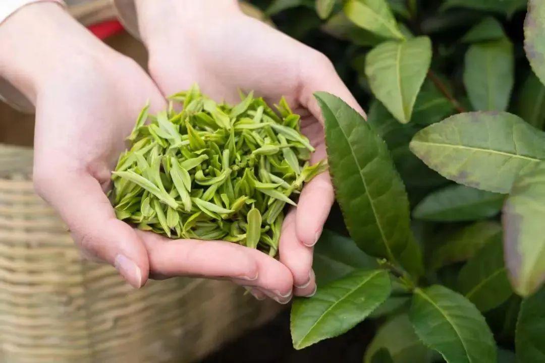 典型案例的经验做法_典型案例经验总结_优质服务典型经验案例分享