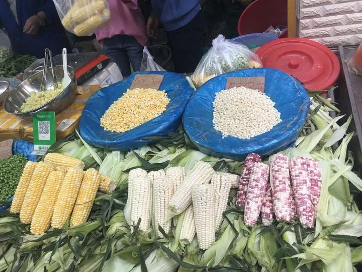 致富经云南下岗_致富经云南下岗_致富经云南下岗