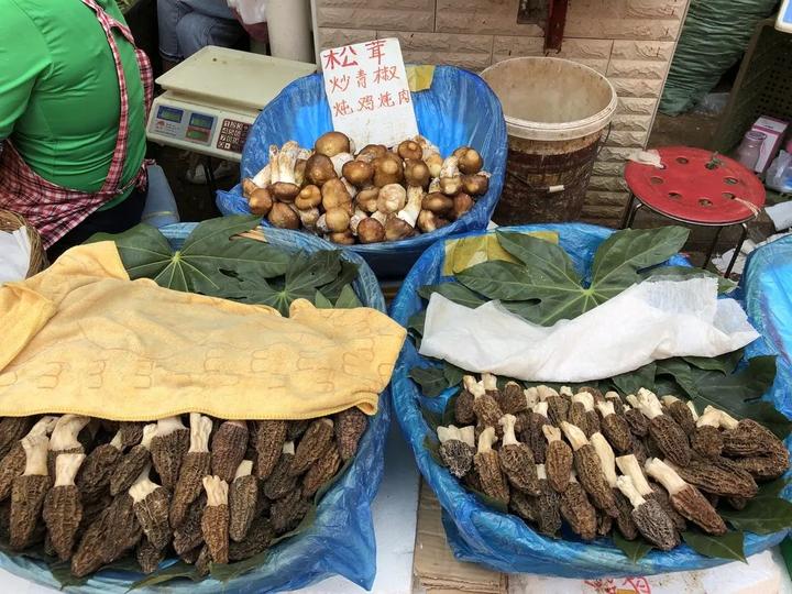 致富经云南下岗_致富经云南下岗_致富经云南下岗