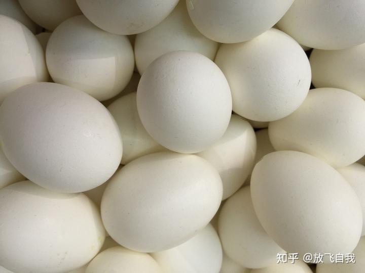 致富养殖知识培训_致富养殖知识培训内容_养殖致富的知识
