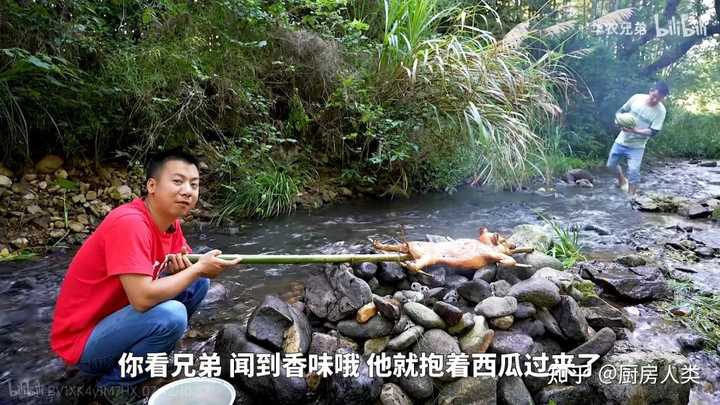 致富养殖豚鼠赚钱吗_豚鼠养殖致富吗_致富养殖豚鼠怎么样