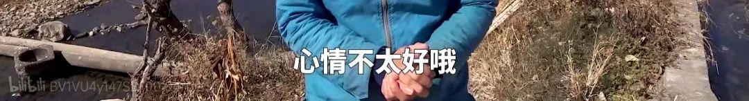 致富养殖豚鼠怎么样_致富养殖豚鼠赚钱吗_豚鼠养殖致富吗
