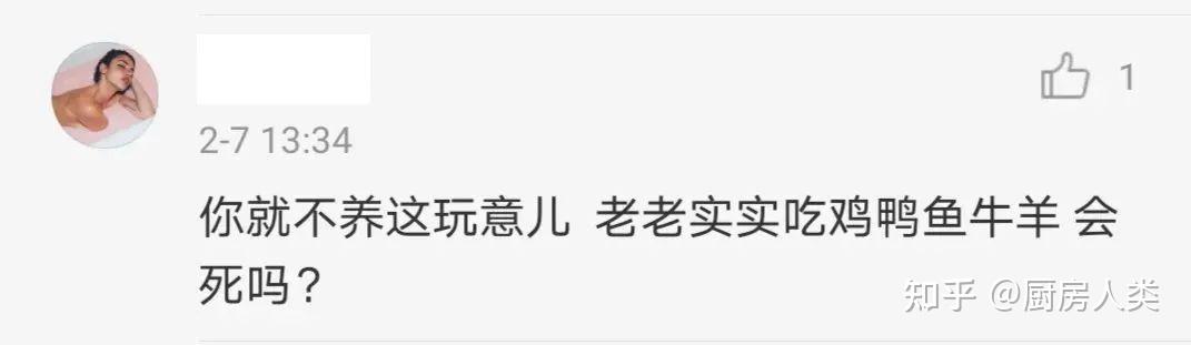 致富养殖豚鼠赚钱吗_致富养殖豚鼠怎么样_豚鼠养殖致富吗