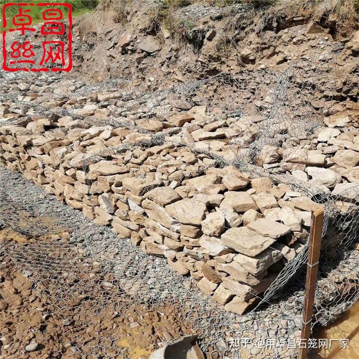 河水网箱养殖致富经_河流网箱养鱼_河面网箱养殖