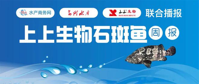 疫情影响，石斑仍是降温姿态，流通量少且慢，珍珠龙胆下滑5元/斤