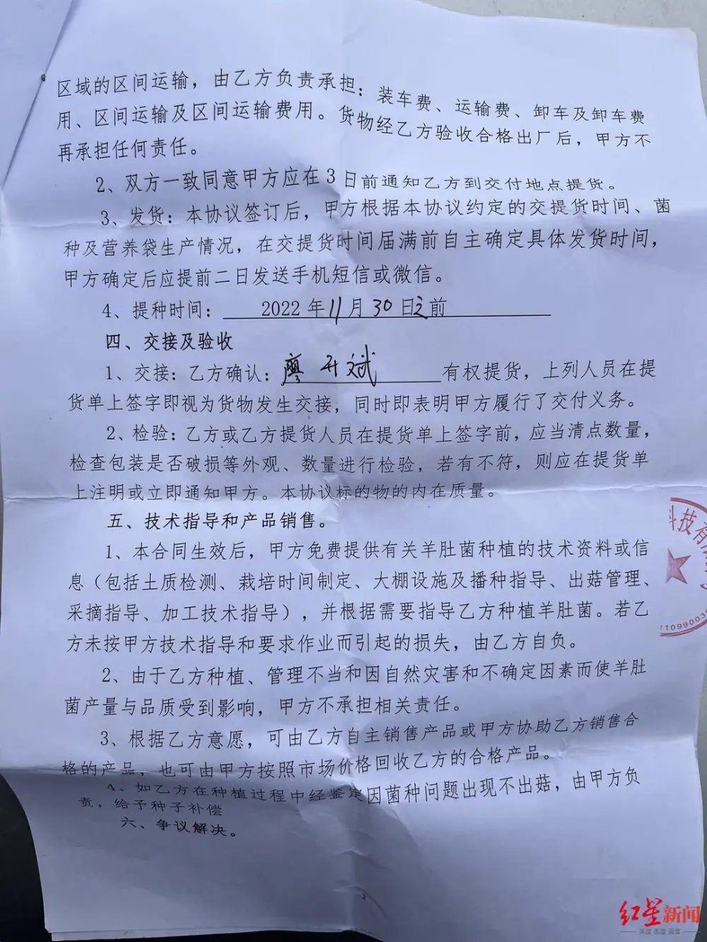 羊肚菌种植技术骗人_种羊肚菌骗局_羊肚菌种植骗局视频