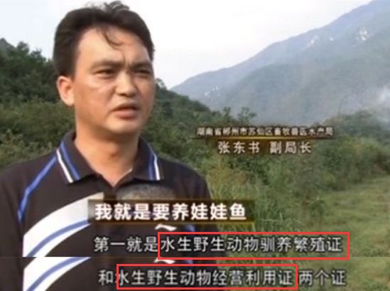致富经养鹅肝_养鹅肝能赚钱吗_养鹅肝视频