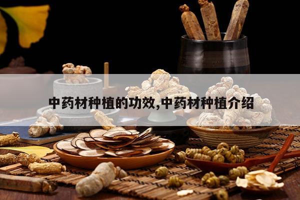 养殖常用药_中草药养殖技术大全_药用养殖