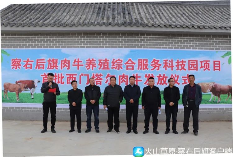 最新养牛致富金_养殖致富项目牛_肉牛养殖盼致富