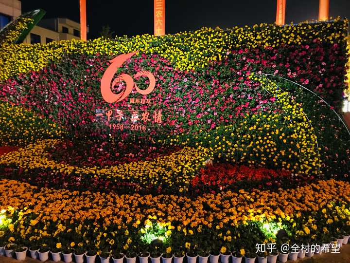 已婚男人说没把我当外人_农广天地鲶鱼养殖技术视频_杨梅树上虫子