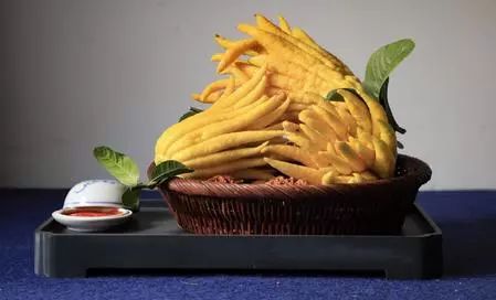 黄皮树种植技术_怎样种黄皮树苗_种植树黄皮技术要点