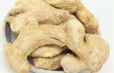 黄皮树种植技术_怎样种黄皮树苗_种植树黄皮技术要点