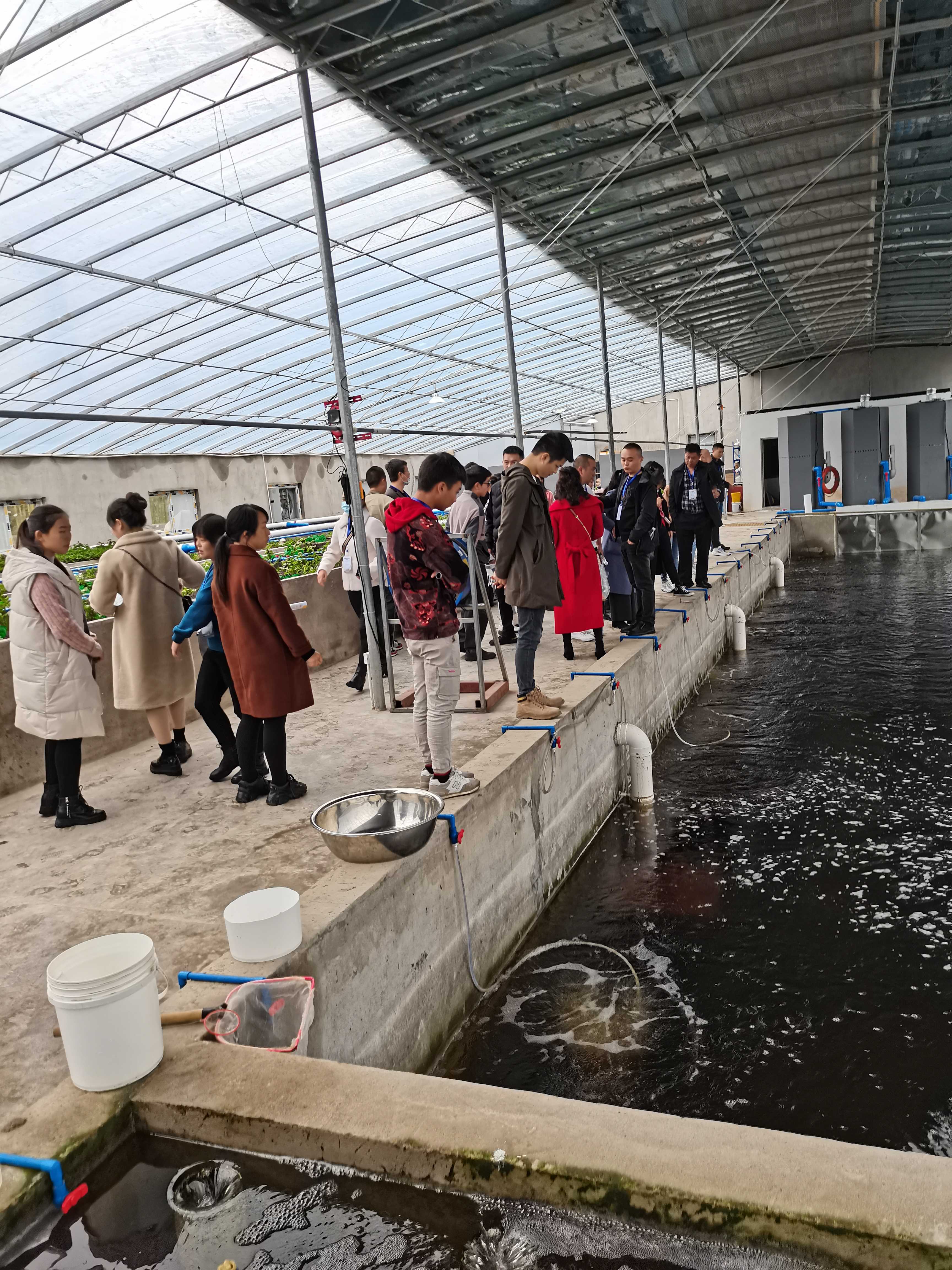 致富虾养殖方案模板_致富虾养殖方案设计_致富虾养殖方案