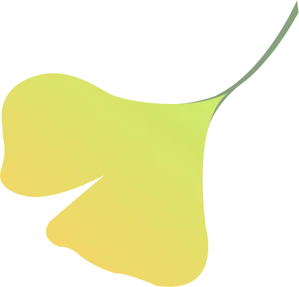 切花赋能绿产“芬芳”，鲜花扮靓“香”村振兴