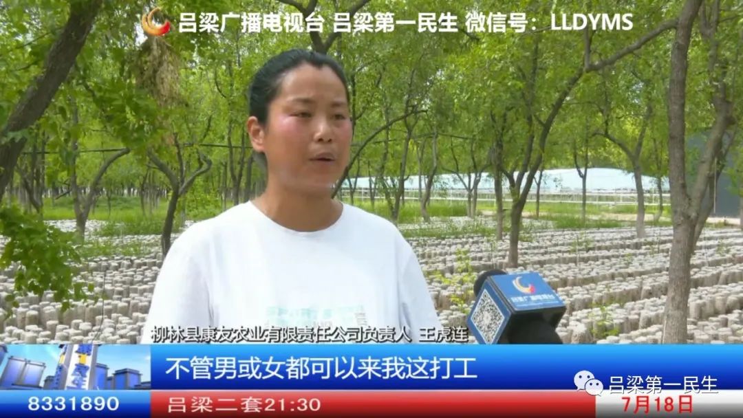 种植木耳赚钱吗_农村木耳种植致富_木耳种植效益怎么样
