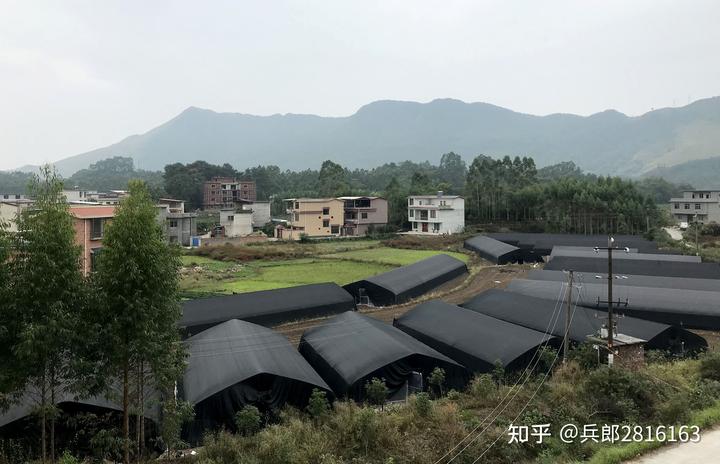 赤江村的致富路