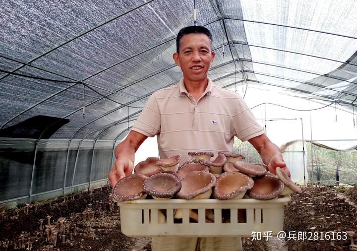 致富经 老人致富_致富经老人豆腐村_致富经退休老人做出的大生意