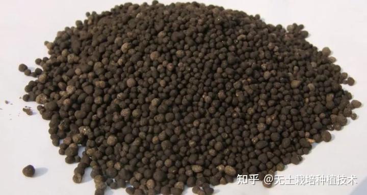 蔬菜大棚种植技术教学_农村大棚种植蔬菜技术_蔬菜大棚怎么种植