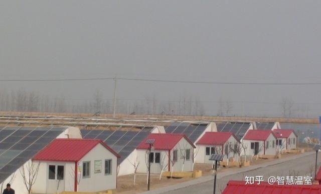 想在农村建大棚，现在种什么蔬菜收益比较好